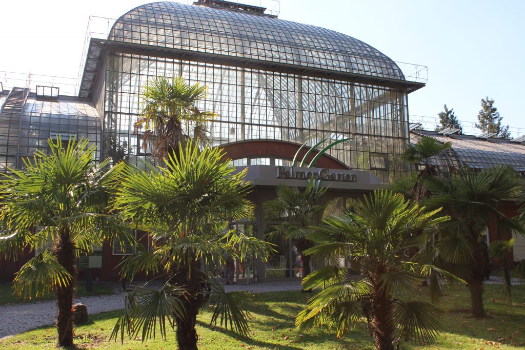 Der Palmengarten, da wo das Herz grün schlägt