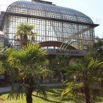 #Palmengarten