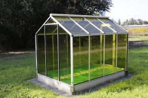 Grüne Soße Denkmal Sauerampfer