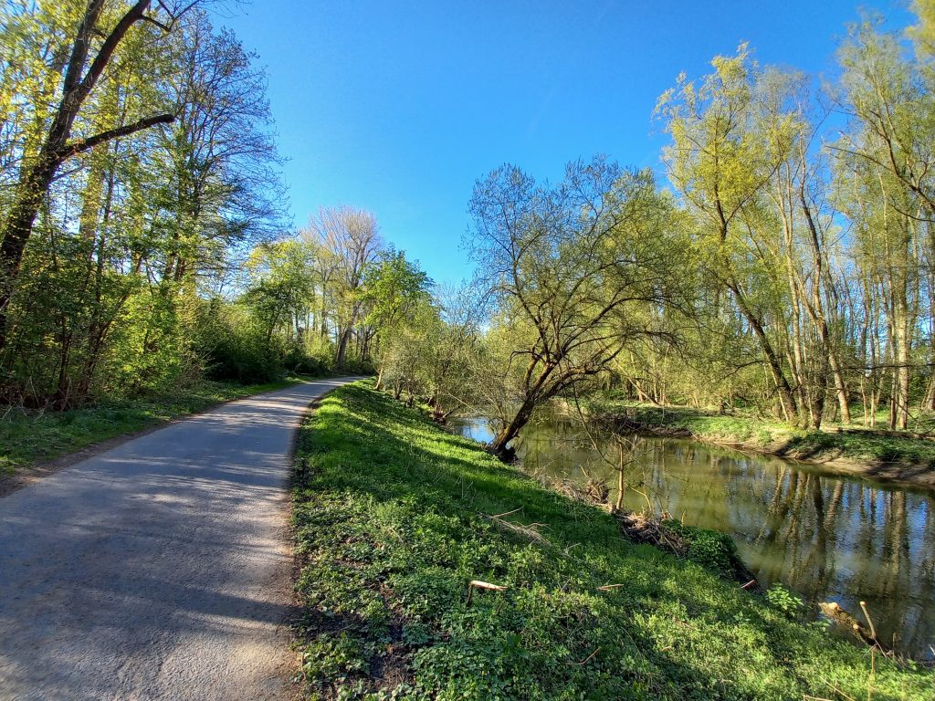 Niddaufer in Berkersheim / Foto: Karola Neder