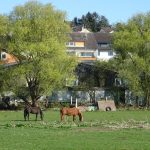 Pferde in Berkersheim / Foto: Karola Neder