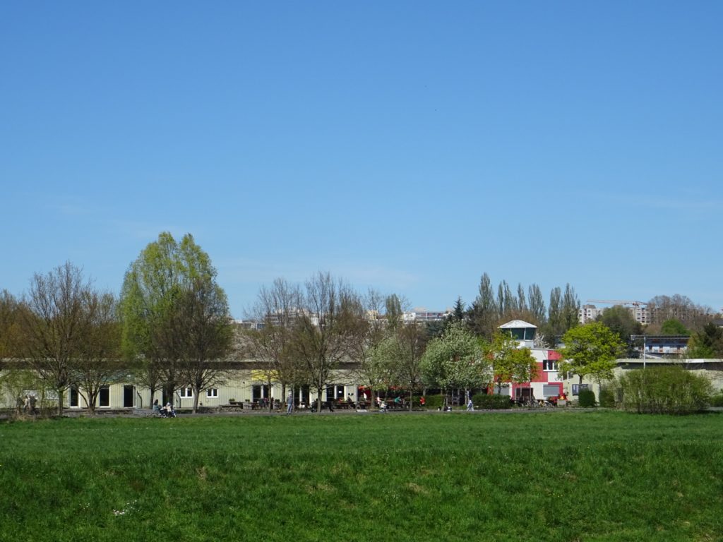 Alter Flugplatz – Neuer Urwald