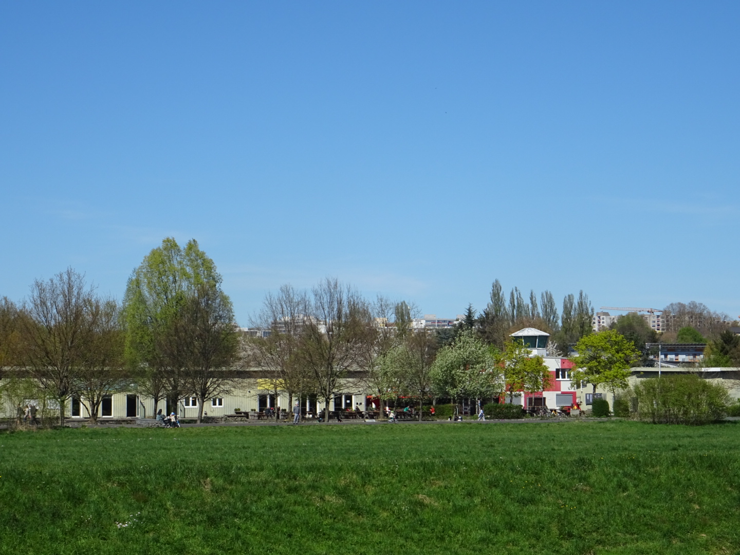 #AlterFlugplatzBonames #AlterFlugplatz #Bonames #Frühjahr