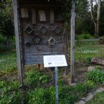 Bienengarten im Hauptfriedhof / Foto: Karola Neder