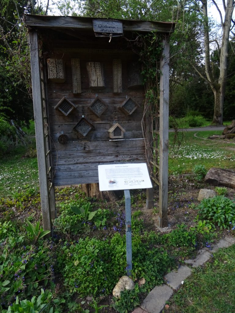 Bienengarten im Hauptfriedhof / Foto: Karola Neder