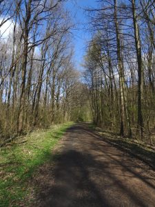 Bergen-Enkheim - Enkheimer Wald/ Foto: Karola Neder