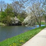 Nidda in Eschersheim/ Foto: Karola Neder