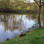 Nidda in Hausen/ Foto: Karola Neder