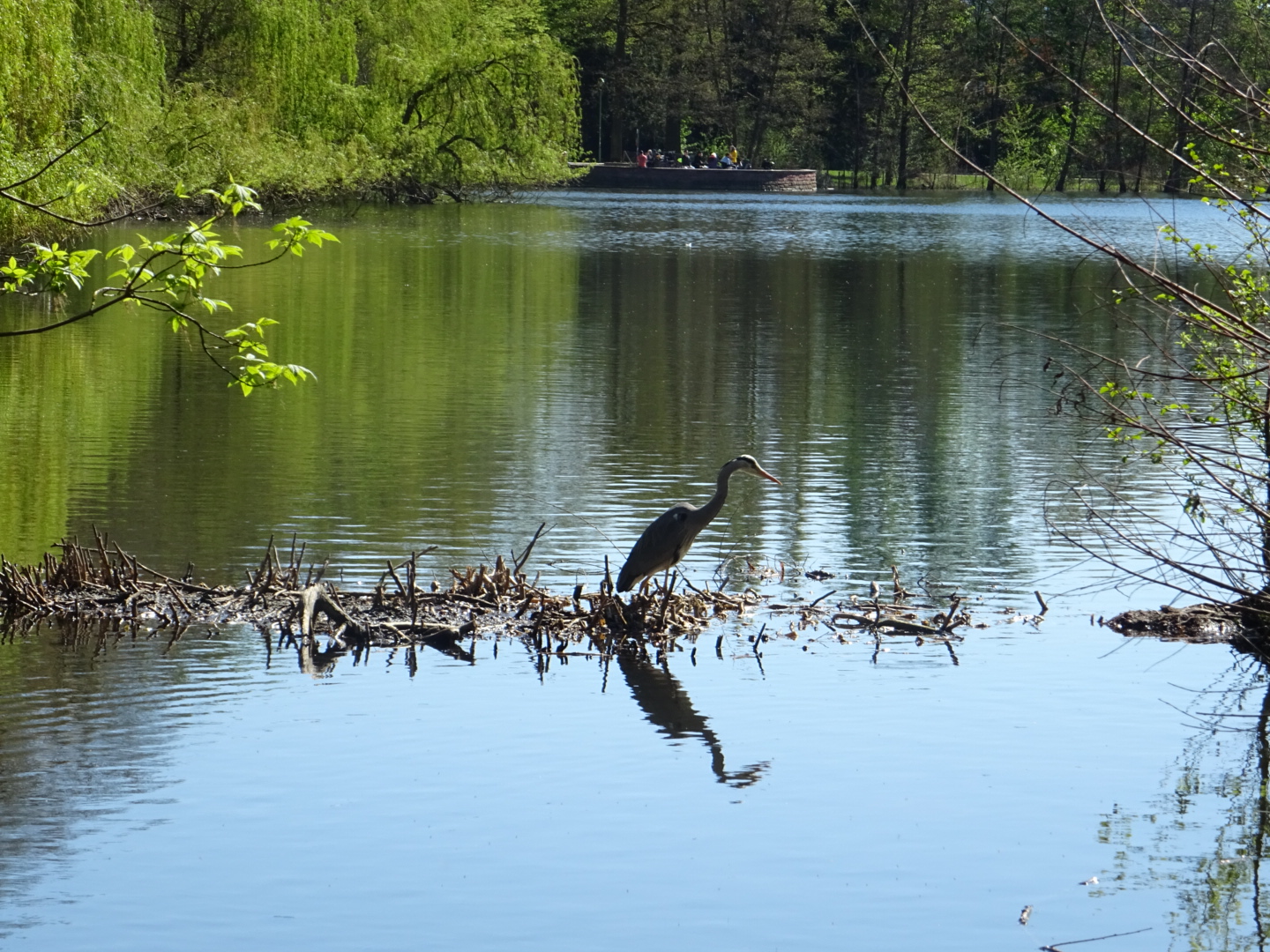 Weiher im Ostpark/ Foto: Karola Neder