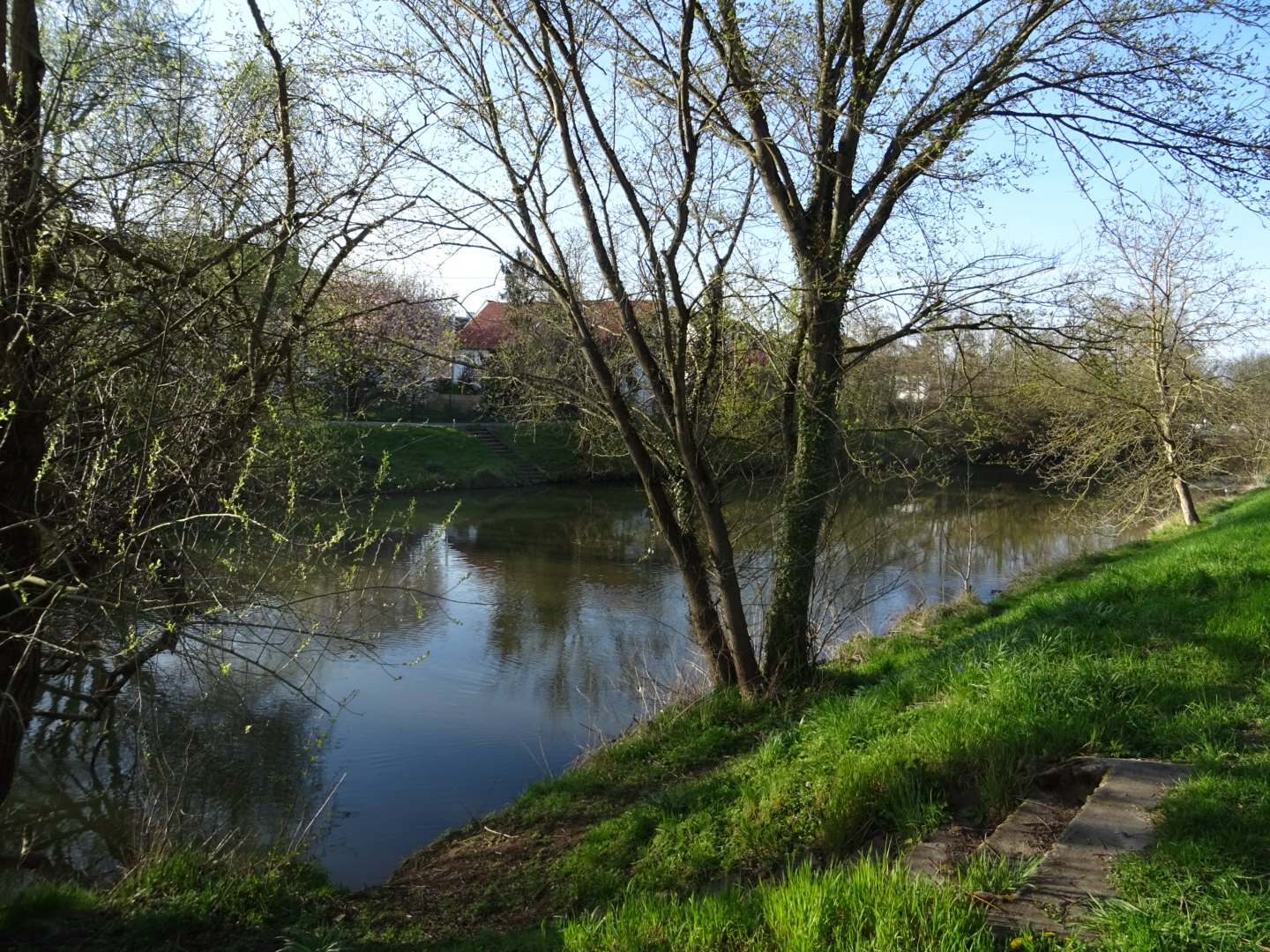 Nidda in Praunheim/ Foto: Karola Neder
