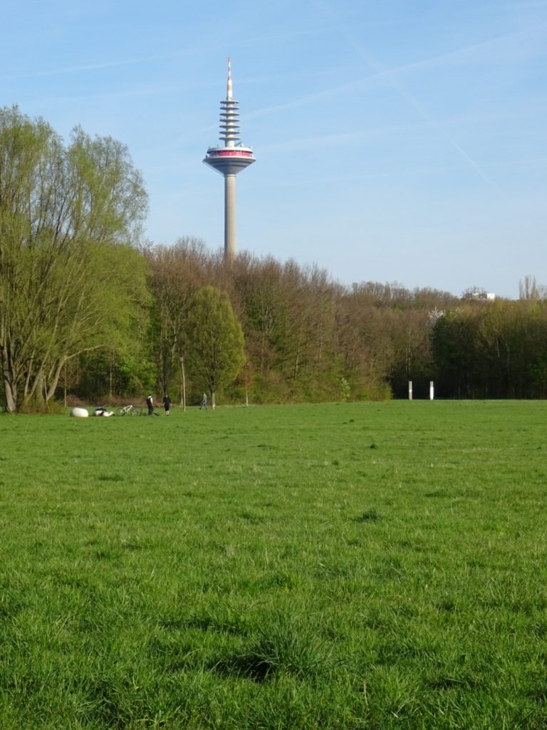 Die Natur im Niddapark
