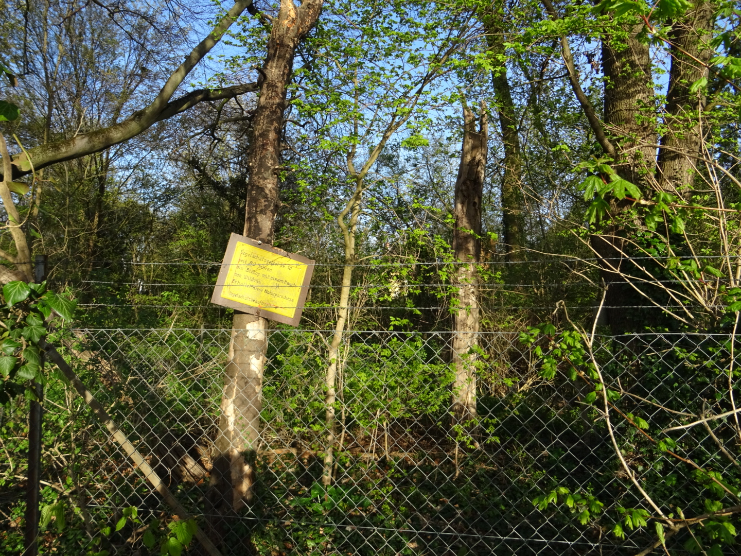 Vogelschutzgebiet an der Nidda/ Foto: Karola Neder
