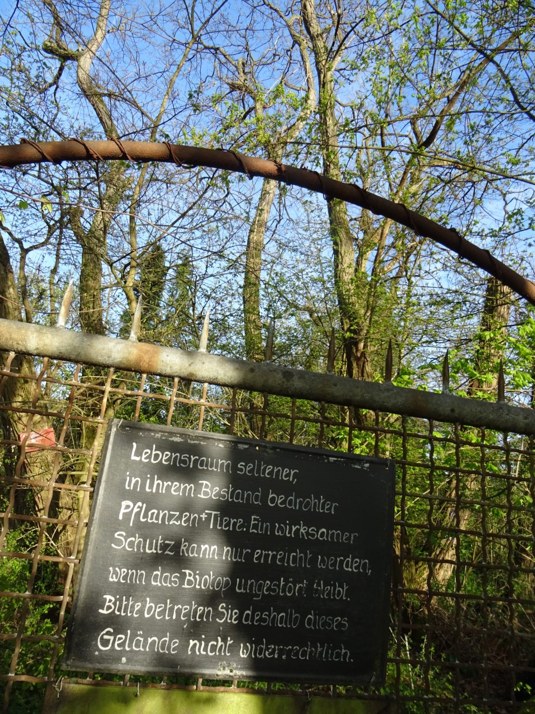 Vogelschutzgebiet - Lebensraum seltener Pflanzen und Tiere/ Foto: Karola Neder