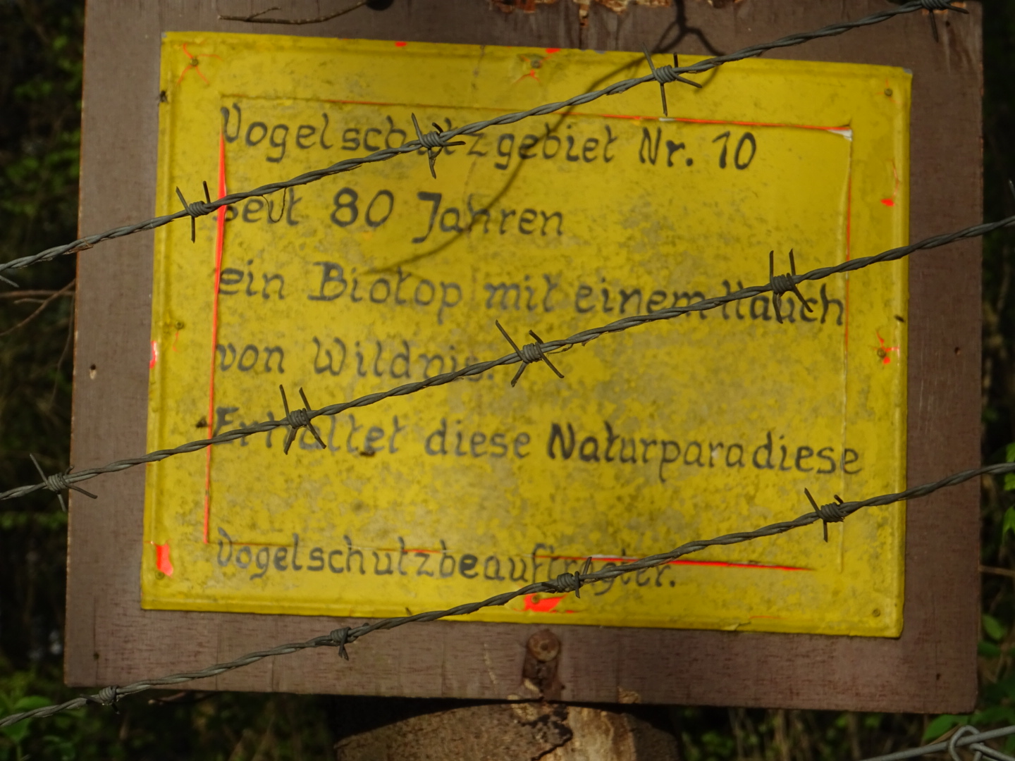 Praunheim Vogelschutzgebiet/ Foto: Karola Neder