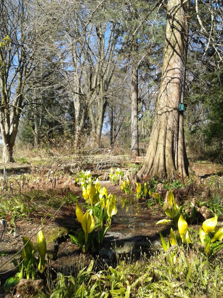 #BotanischerGarten