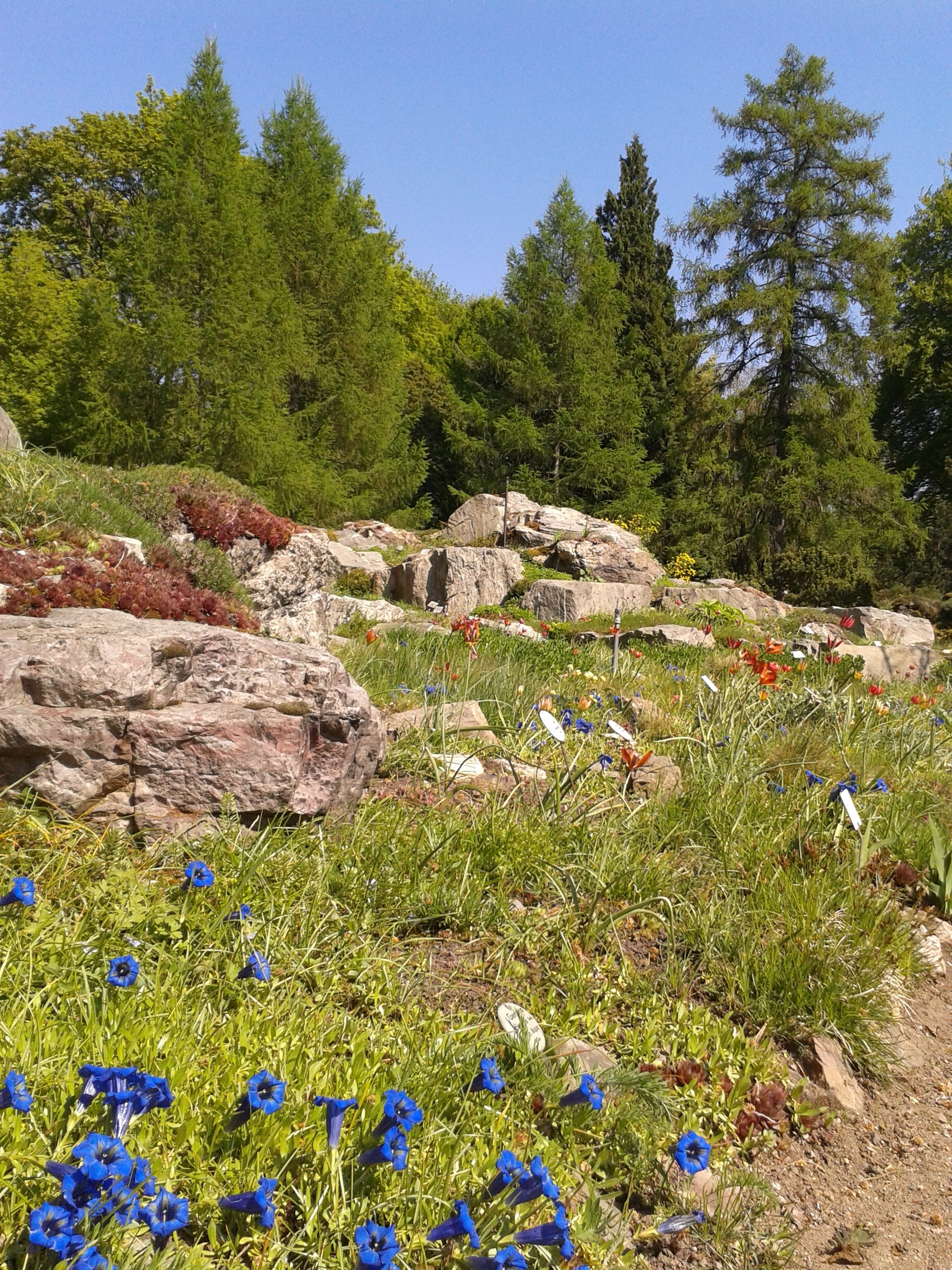 #BotanischerGarten