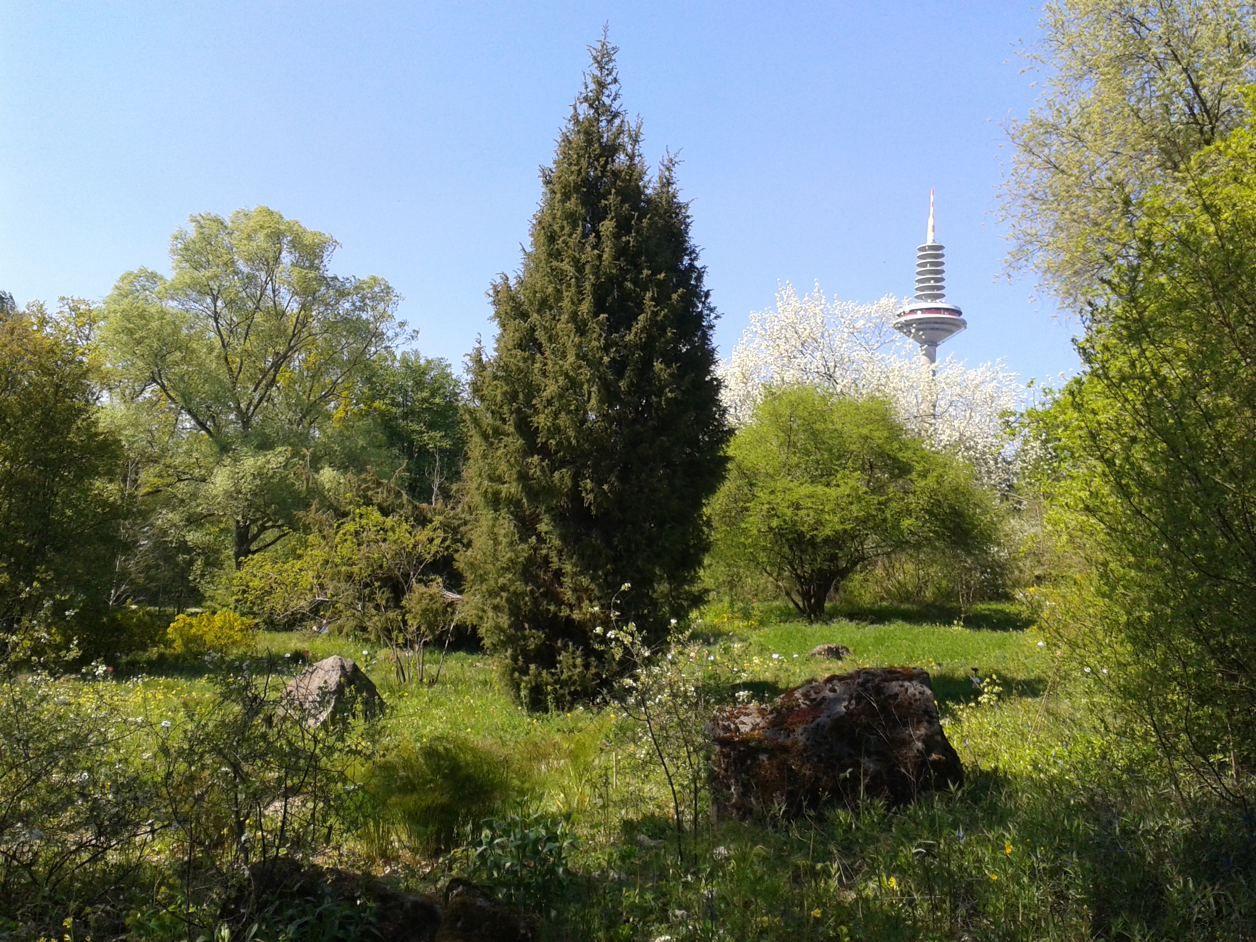 Botanischer Garten, Blick auf den Fernsehturm/ Foto: Karola Neder