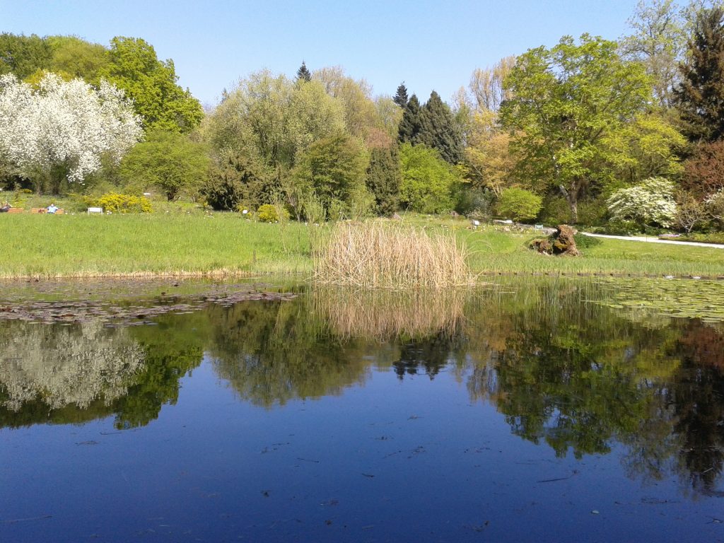 #BotanischerGarten #Teich
