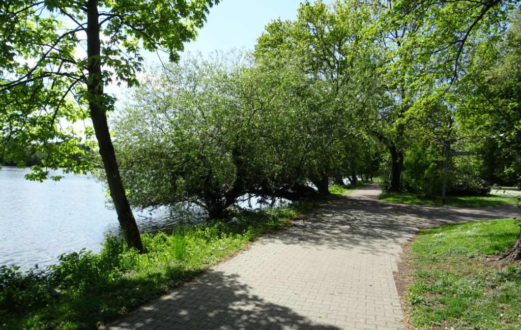 Uferweg am Bürgermeister-Schubert-Park in Frankfurt Griesheim