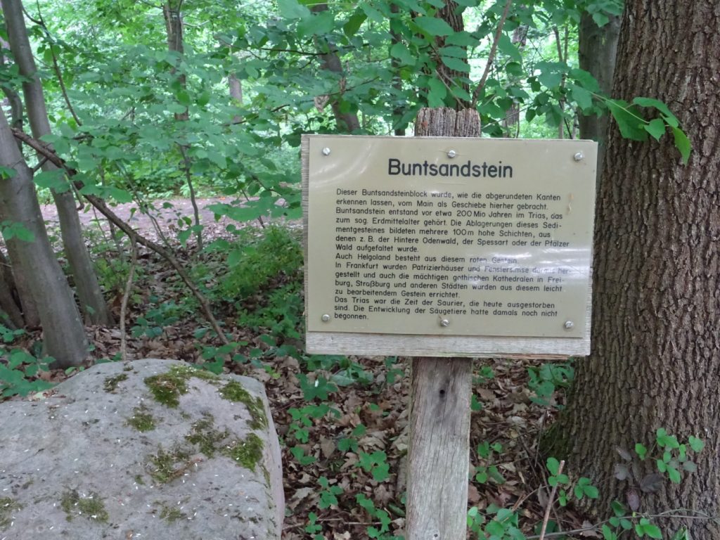 Lehrpfad am Fechenheimer Waldsee