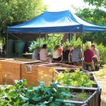 GFFB Mitmachgarten