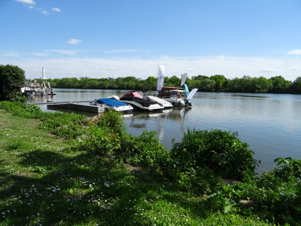 Griesheimer Mainufer