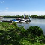 Mainufer in Griesheim/ Foto: Karola Neder