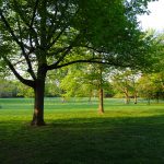 Grüneburgpark/ Foto: Karola Neder
