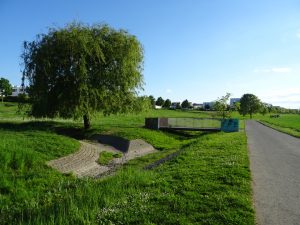Wassermulden im Kätcheslachpark, Bild: Karola Neder