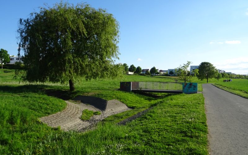Vision: Schwammstadt Frankfurt