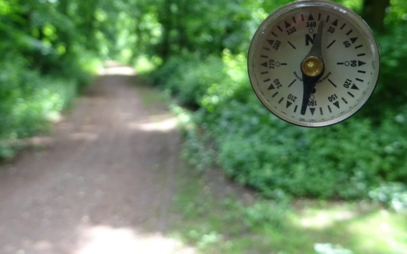 Naturkompass Frankfurt