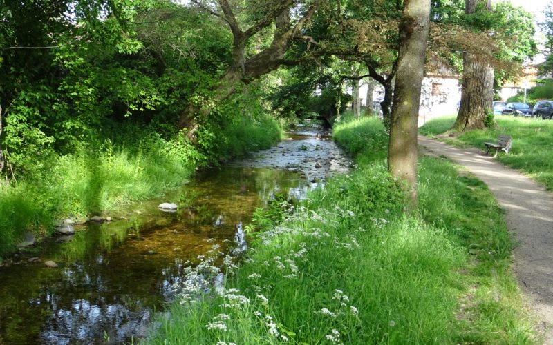 Grünes Frankfurt: Unterliederbach