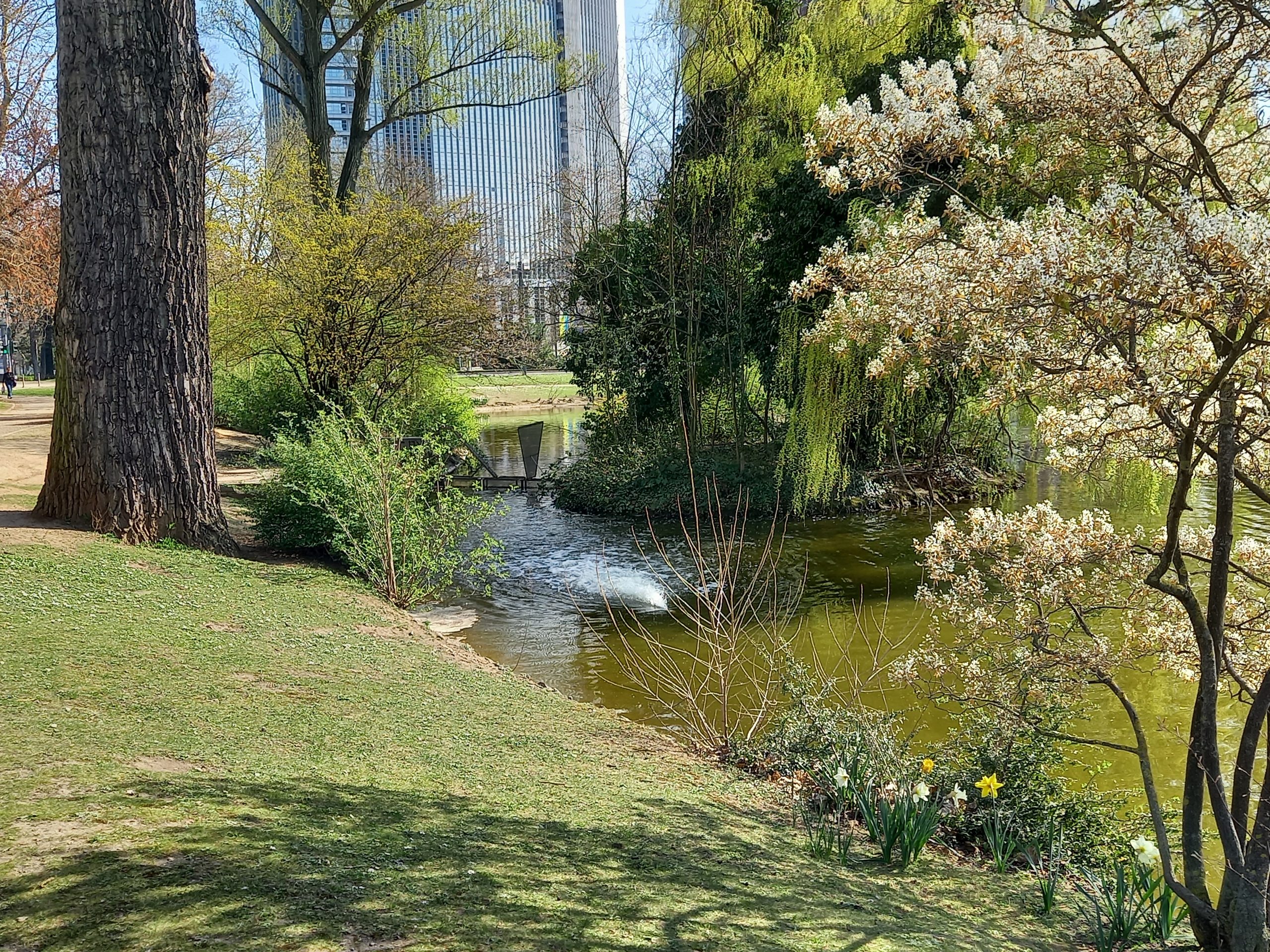 Frankfurt Westend - Frühling in der Ludwig-Erhard-Anlage/ Foto: Karola Neder