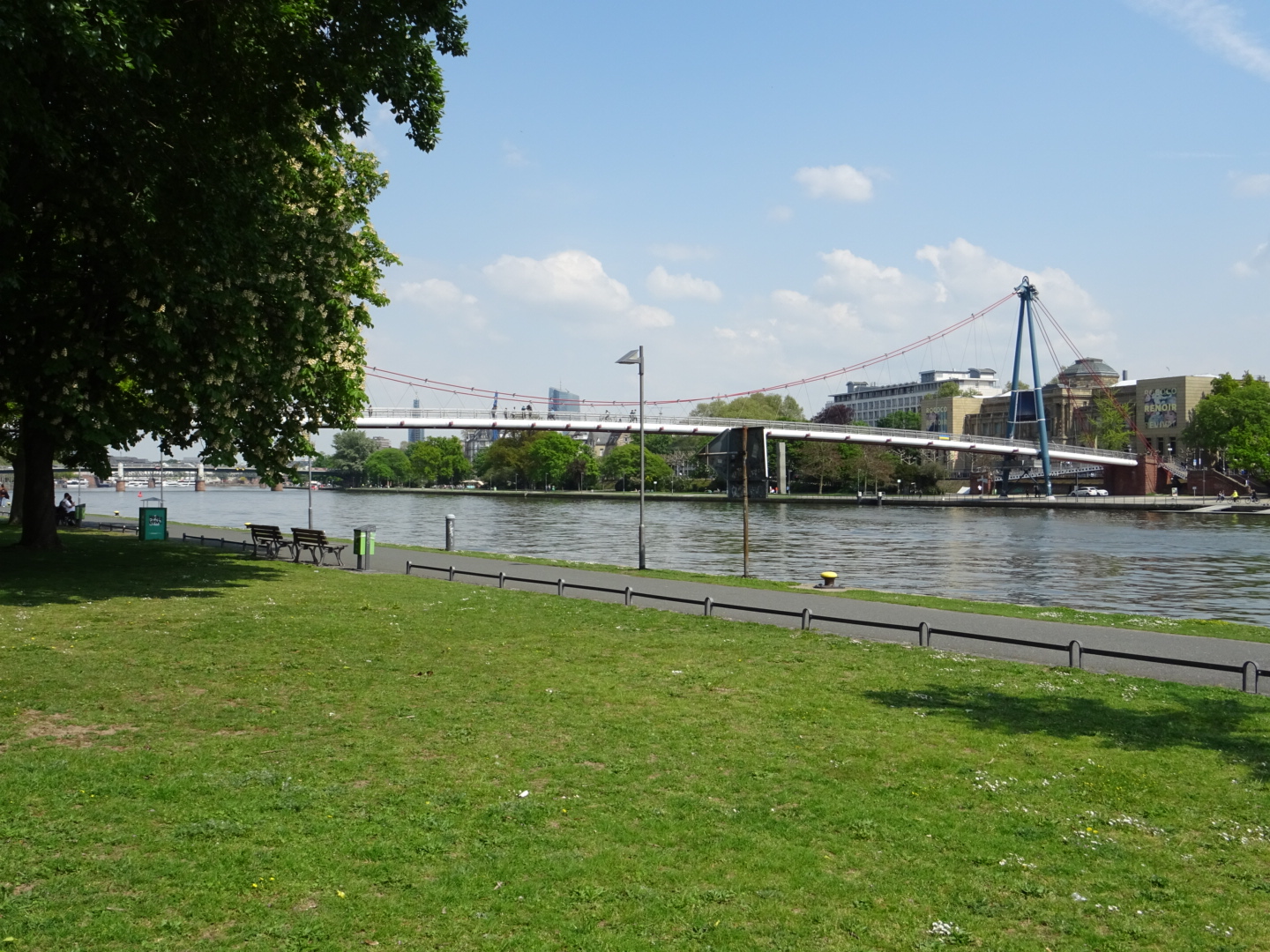 Mainufer am Holbeinsteg/ Foto: Karola Neder