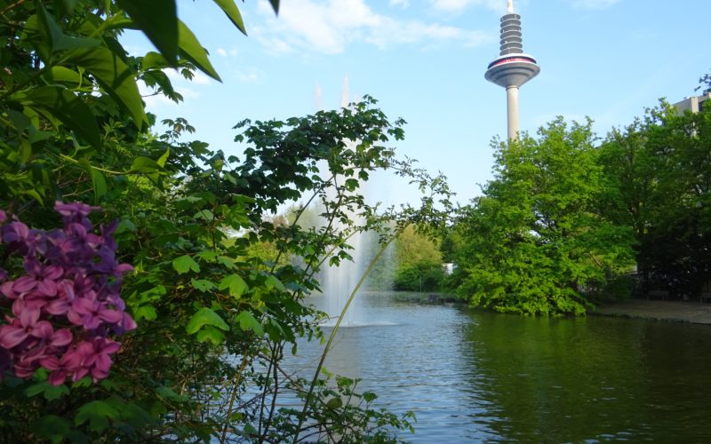 Grünes Frankfurt: Bockenheim