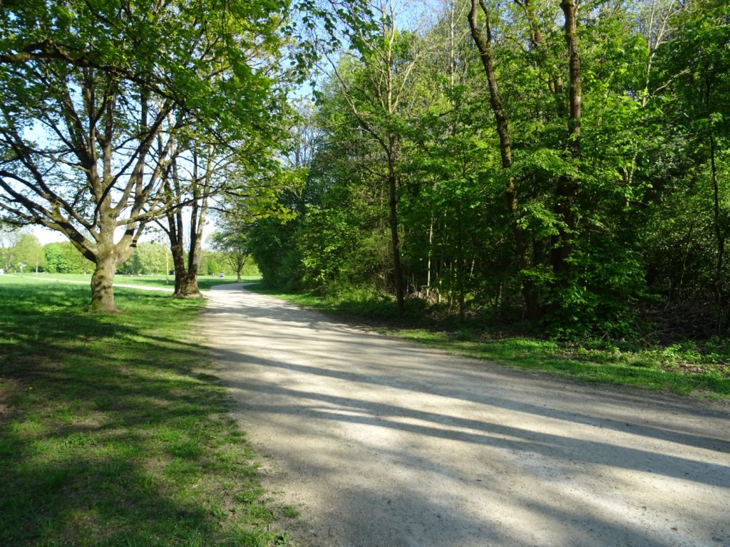 Nidda Parkrun