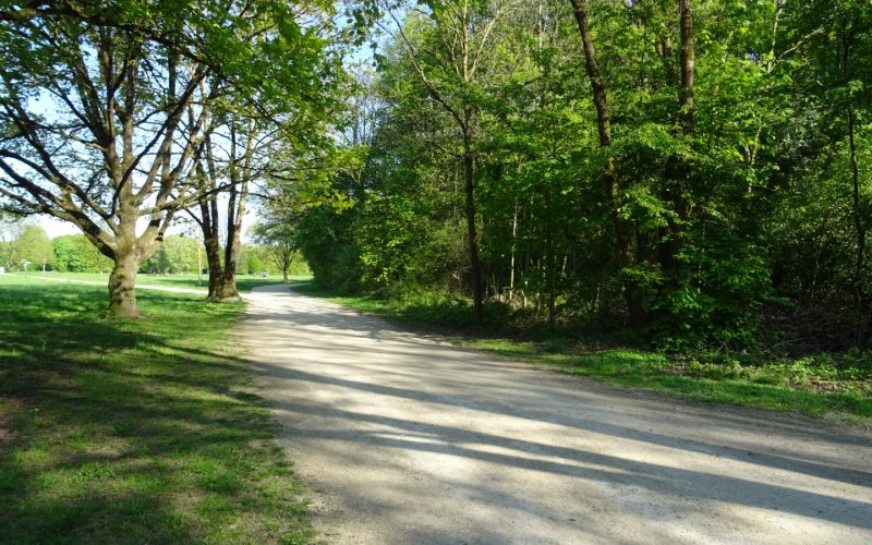 Nidda Parkrun