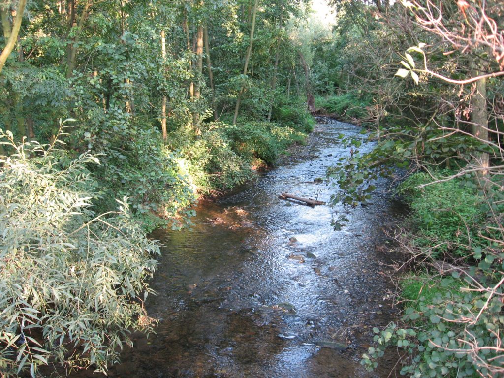 Grünes Frankfurt: Nieder-Erlenbach