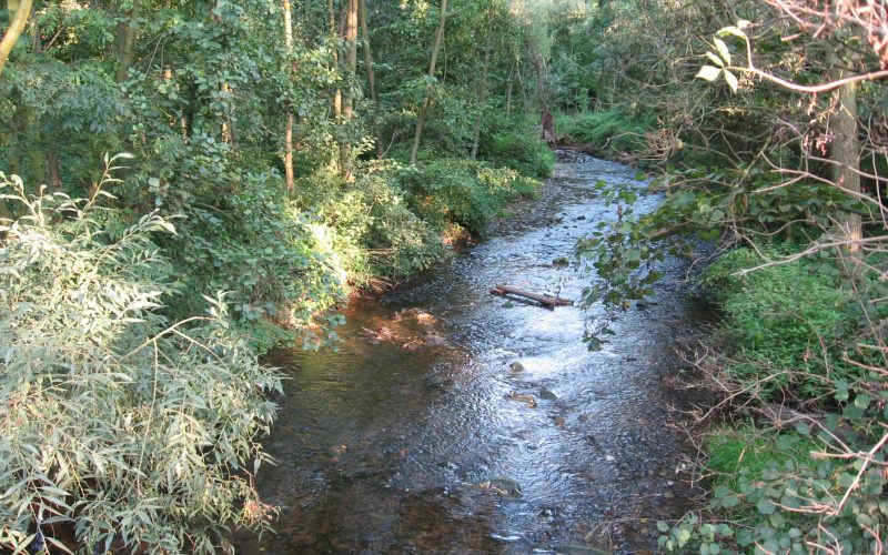 Grünes Frankfurt: Nieder-Erlenbach