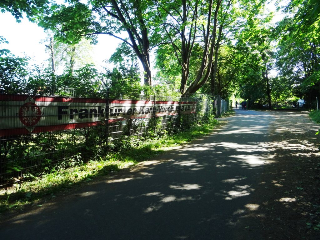 Radweg am Niederräder Mainufer