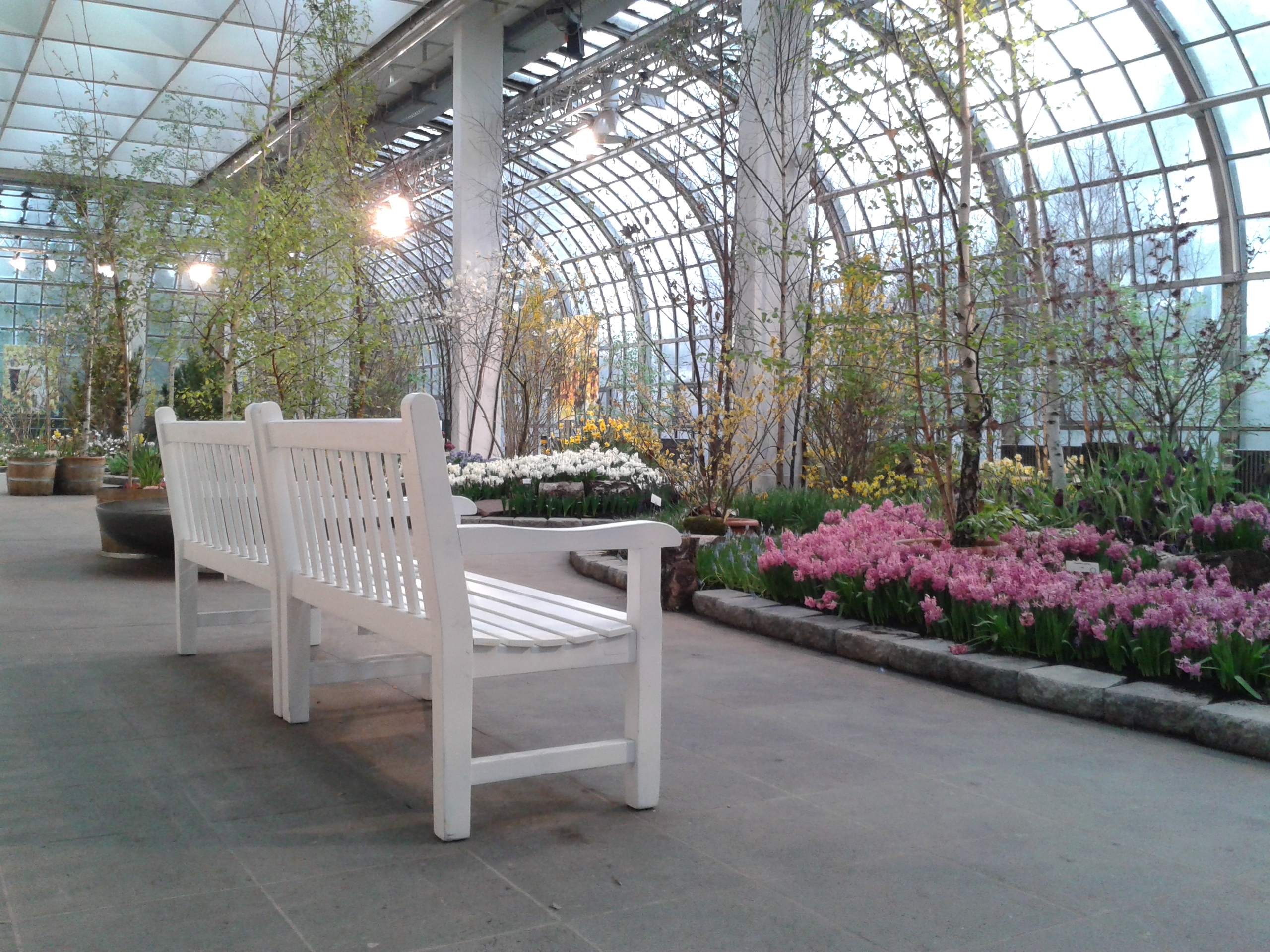 Palmengarten im Frankfurter Westend, Ausstellungsgalerie im Palmenhaus/ Foto: Karola Neder