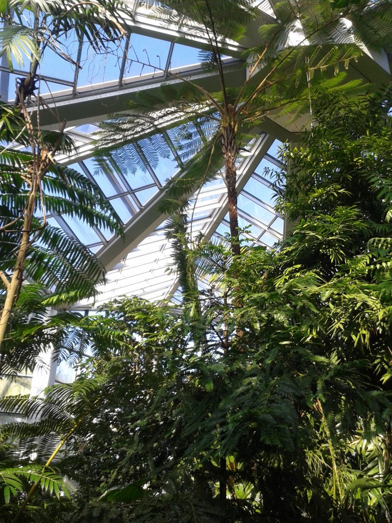 #Palmengarten