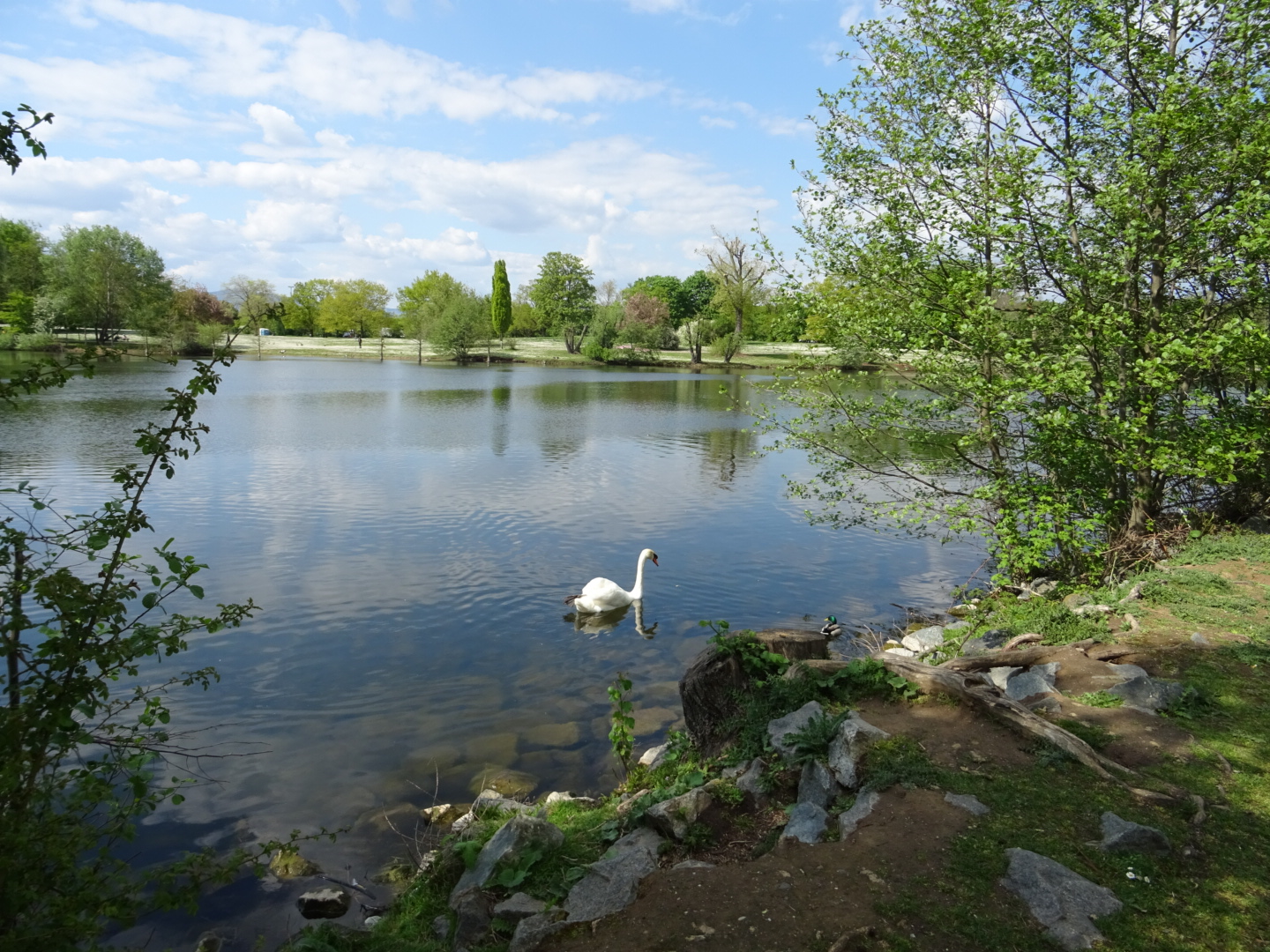 Rebstockweiher/ Foto: Karola Neder