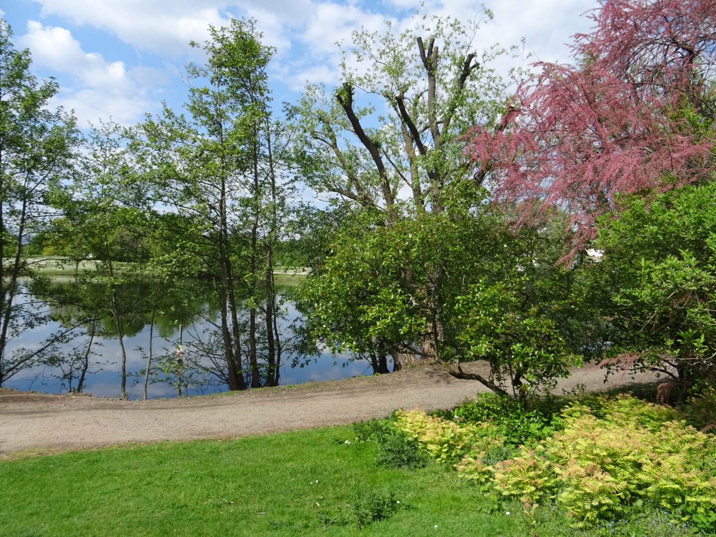 Blütenzauber im Rebstockpark in Frankfurt Bockenheim/ Foto: Karola Neder