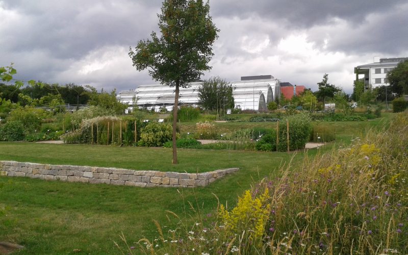 Führungen im Wissenschaftsgarten