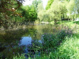 Seckbach Sausee/ Foto: Karola Neder