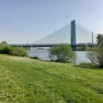 #Mainufer #Sindlingen