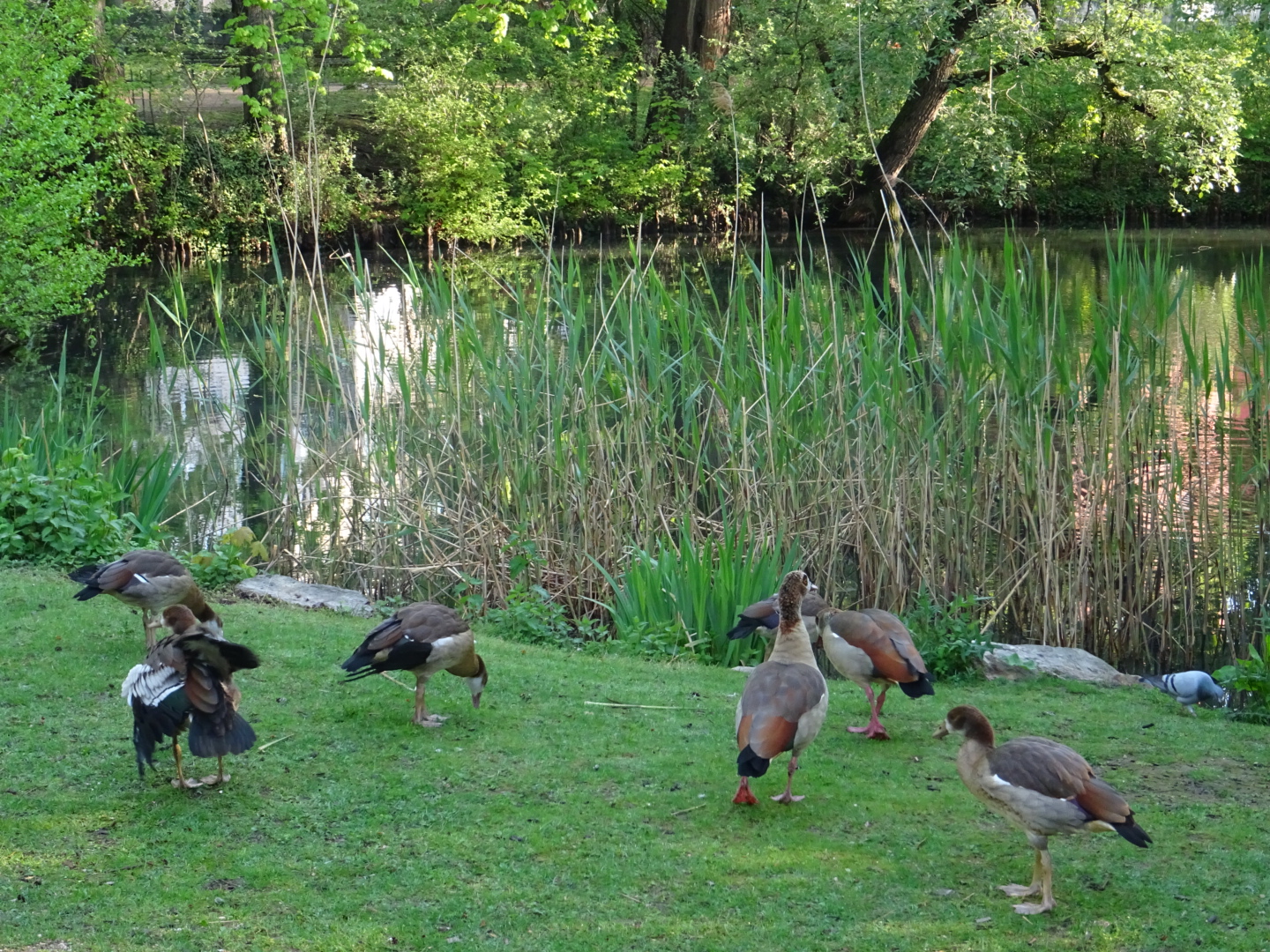 Von Bernus Park/ Foto: Karola Neder