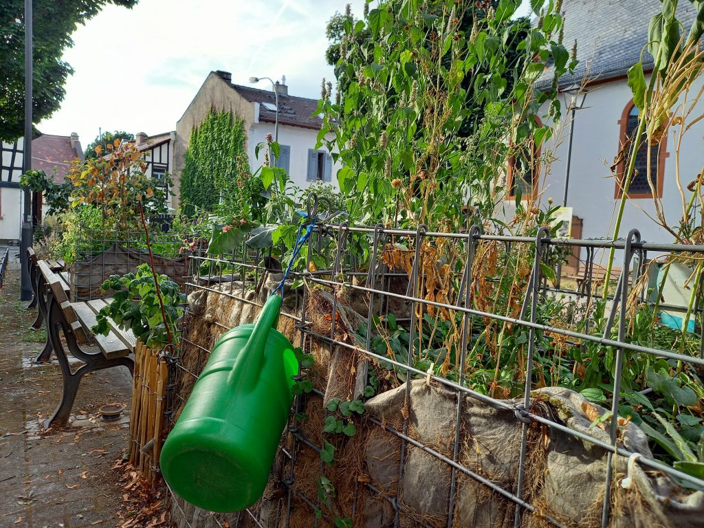 Urban Gardening in Ginnheim