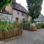 Ginnheimer Kirchplatzgärtchen, Foto: Karola Neder